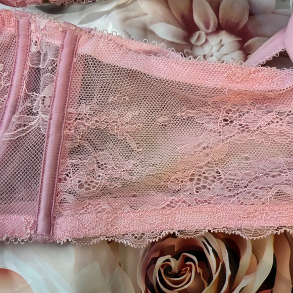Honey Birdette Bra Sexy Pink Lace Corset Luxury Babydoll Lingerie Detail 40DD - Picture 7 of 11